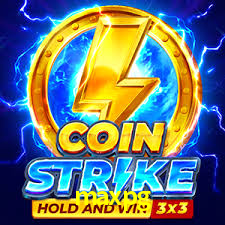 Premium Interface maxpg